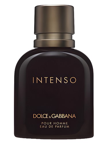 Dolce & Gabbana Pour Homme Intenso - Maison di Lusso